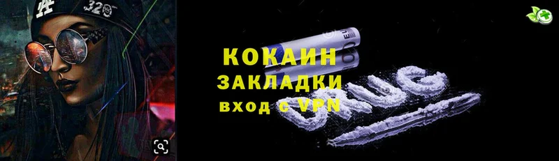 купить наркотики цена  Анжеро-Судженск  Cocaine Fish Scale 